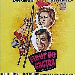   / Cactus Flower (1969) DVDRip