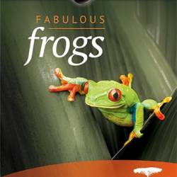   / Fabulous Frogs (2014) HDTVRip-AVC
