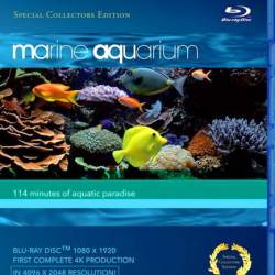   / Marine Aquarium (2008) BDRip