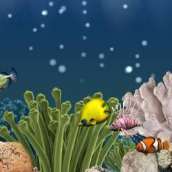 Aquarium 3D Live Wallpaper Pro v1.5.5