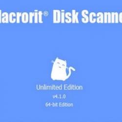Macrorit Disk Scanner 4.1.0 Pro + Portable