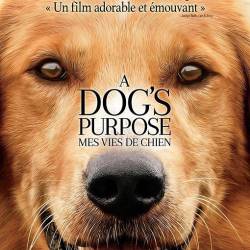   / A Dog's Purpose (2017) TS