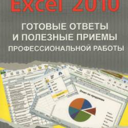Excel 2010:        (2013) PDF