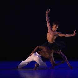    -    /Dada Masilo - Swan Lake - The Dance Factory - Biennale de danse de Lyon/ (    - 2012) HDTVRip