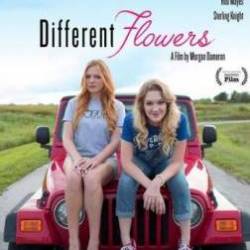   / Different Flowers (2017) WEB-DLRip