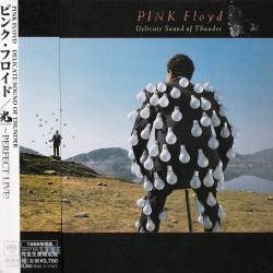Pink Floyd - Delicate Sound Of Thunder (1988) [Japanese Edition] FLAC/MP3