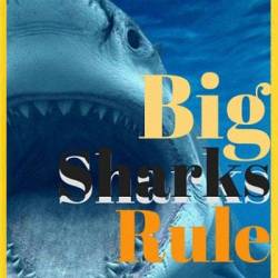    / Big Sharks Rule (2018) HDTV 1080i