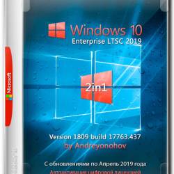 Windows 10 Enterprise LTSC x86/x64 17763.437 2in1 by Andreyonohov (RUS/2019)