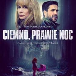 ,   / Ciemno, prawie noc (2019) HDRip