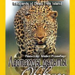    / Leopards of Dead Tree Island (2010) HDTV 1080i