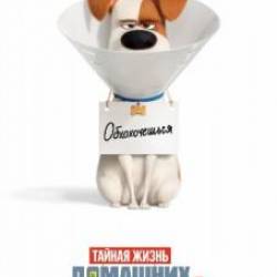     2 / The Secret Life Of Pets 2 (2019) BDRip 1080p | 