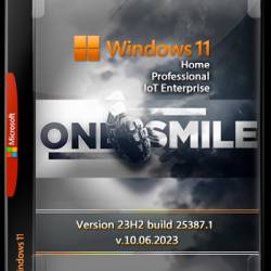 Windows 11 23H2 x64 Rus by OneSmiLe [25387.1]