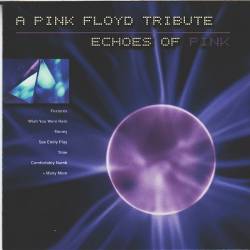 A Pink Floyd Tribute: Echoes Of Pink (FLAC) -""   .        .    -! Progressive Rock, Folk Rock!