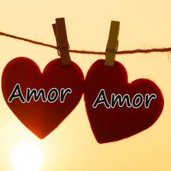 Amor Amor Hits (2023) - Pop, Rock