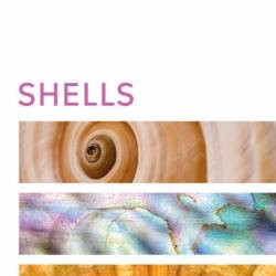 Shells - DK