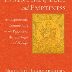 The Blazing Inner Fire of Bliss and Emptiness: An Experiential Commentary on the Practice of the Six Yogas of Naropa - David Gonsalez