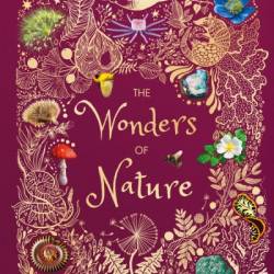 The Miraculous from the Material: Understanding the Wonders of Nature - Alan Lightman