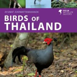 Birds of Thailand - Ayuwat Jearwattanakanok