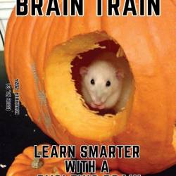 Brain Train Magazine - November 2024