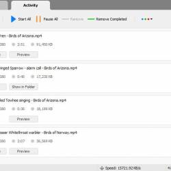 YT Video Downloader 12.0.8 (x64)
