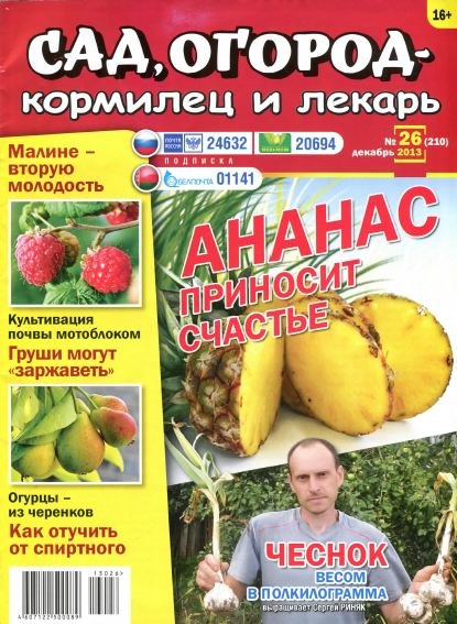 Газета сада. Газета сад и огород. Журнал про огород и сад в СССР. Газета сад огород номер 6. Газета лекарь.