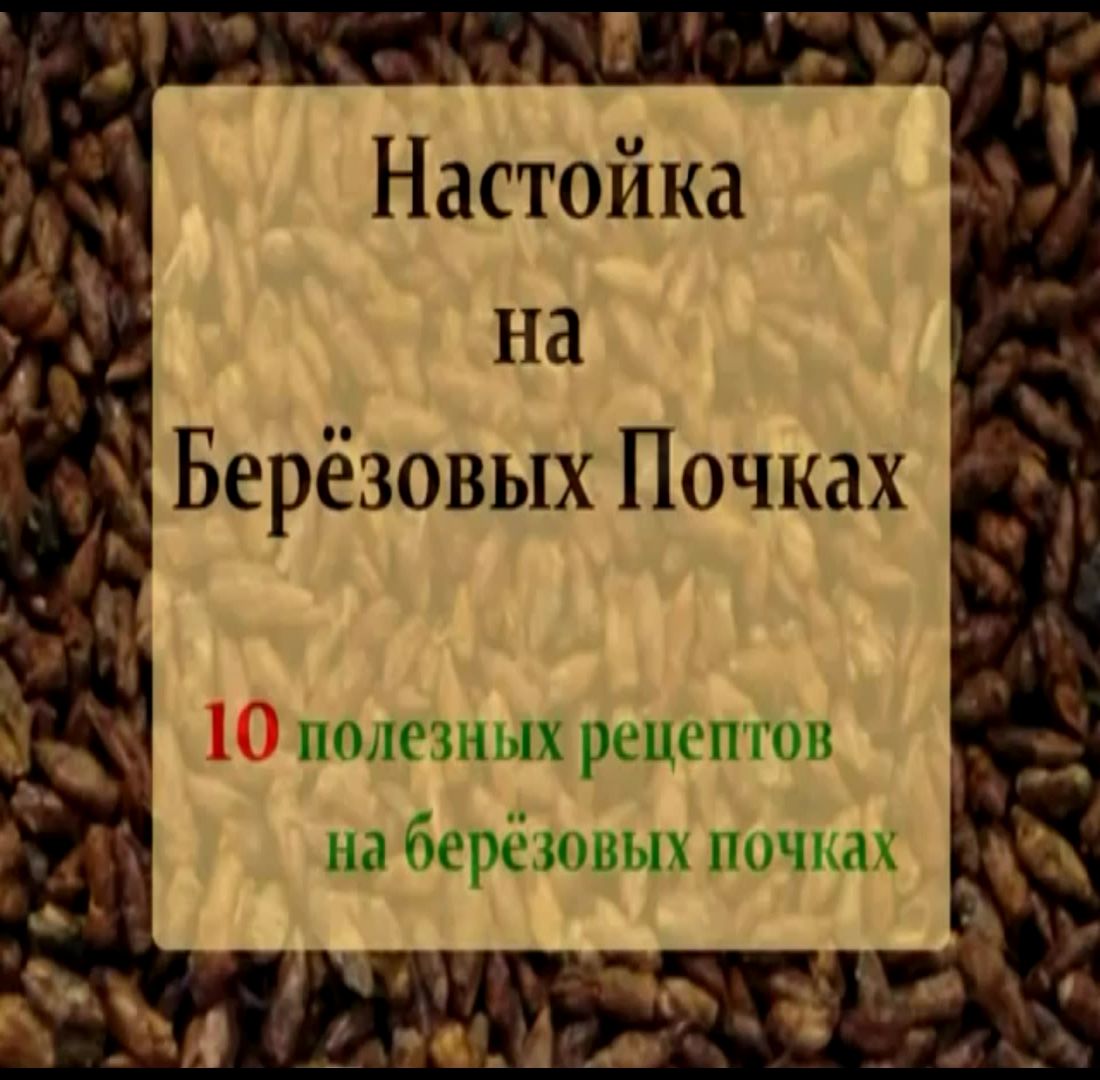 Рецепт березовые почки. Настойка из березовых почек. Настой почек березы. Рецепт почек берёзы. Рецепт с березовыми почками.