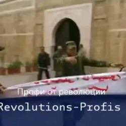    / Die Revolutions-Profis (2011) SATRip