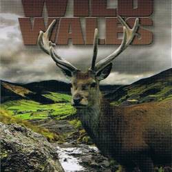 BBC.   (1 : 3   3) / BBC. Wild Wales (2010) HDTVRip (720p)