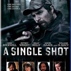   / A Single Shot (2013) HDRip/BDRip/