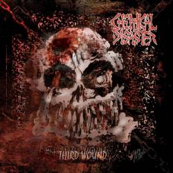 Chemical Disaster - Third Wound (2011)