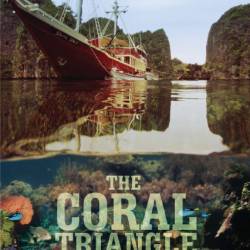     / The Coral Triangle (2013) HDTV 720 -  1
