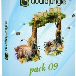 AudioJungle Pack 09