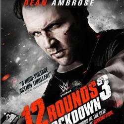 12  3 / 12 Rounds 3: Lockdown (2015) HDRip/BDRip 720p