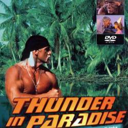   "  " / Thunder in paradise (1994 )    ( 11  22 )