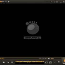 GOM Media Player 2.2.77.5240 Rus