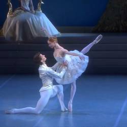    -     -   /Nacho Duato - Tschaikowsky - La Belle au Bois Dormant - The Sleeping Beauty - Robert Reimer - Staatsballett Berlin/ (    - 2015) HDTVRip