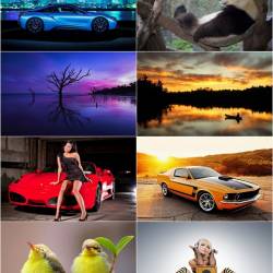 275 HD Wallpapers -     (#456)