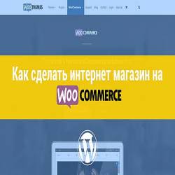      WooCommerce (2016) WEBRip