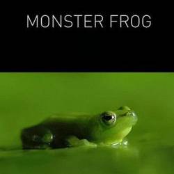 - / Monster Frog (2014) HDTV 1080i