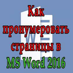     Word 2016 (2016) WEBRip