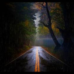 Rainy Road -  