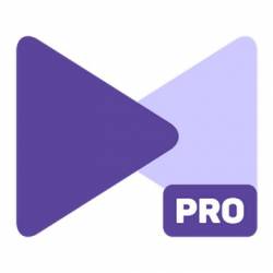 KMPlayer Pro v2.1.4