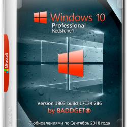 Windows 10 Pro RS4 x64 v.1803.17134.286 by BADDGET (RUS/2018)