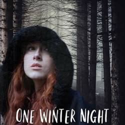 One Winter Night /    (2019) WEB-DLRip