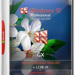 Windows 10 Pro x64 2004.19041.450 GX v.12.08.20 (RUS/2020)