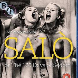 ,  120   / Salo, or the 120 Days of Sodom (1975) BDRip - , , , !