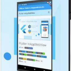    Flutter 2.0  Dart  IOS  Android (2021) 