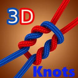 Knots 3D 7.8.0 (Android)