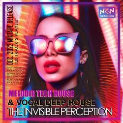 The Invisible Perception (2022) Mp3 - Deep, Tech House, Pop, Dance, Electro!