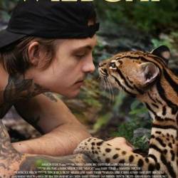   / Wildcat (2022) WEB-DL 720p